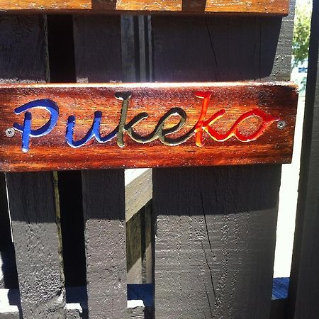 Pukeko On Bay Apartment Tauranga Ngoại thất bức ảnh